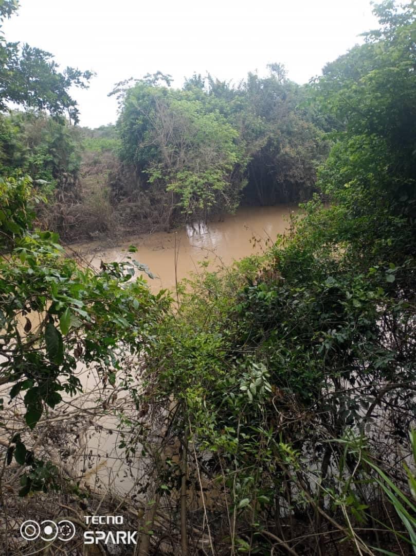 200ha en vente à bongouanou 